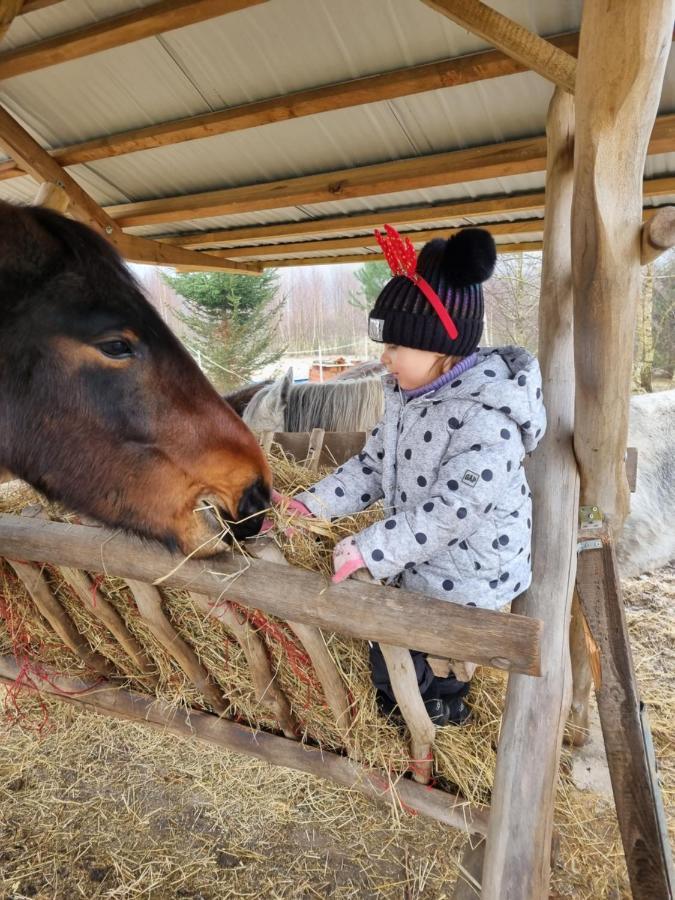 Willa Wiejska Chata Barczewo Zewnętrze zdjęcie